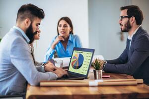 Berényisoft Üzleti elemzés product image 2