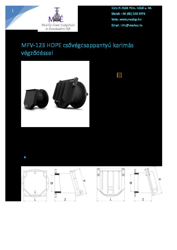 methdpeflapvalvesflange_1.docx.pdf
