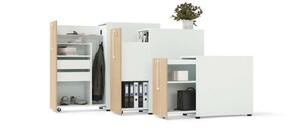 Narbutas Boxi product image 1