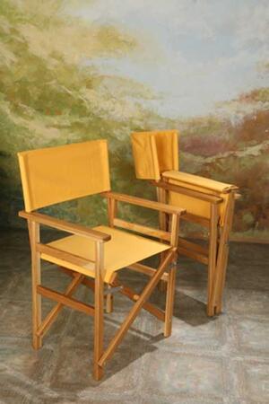  Rendezői Szék product image 1