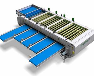 Zöldség osztályozó gép ajánlatkérés