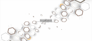 Certop Projektaudit product image 1