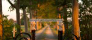 Certop Szervezeti gátló tényezők feltárása product image 1