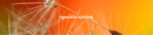  Speciális auditok product image 1