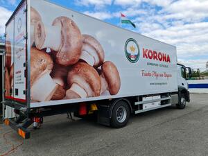 Jólnyomjuk.hu - A megbízható reklámdekoros Autófóliázás cégeknek product image 5