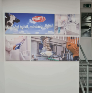 Plakát nyomtatás ajánlatkérés