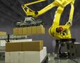 LaminÁtor Palettázó robot  Fanuc product image