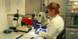 L.z. form  product image 4