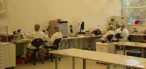 L.z. form  product image 5