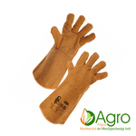 CXS Amon product image