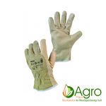 CXS Astar product image