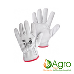 CXS Bono product image