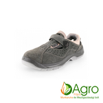 CXS Dog colly o1 product image