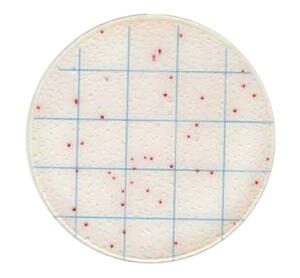 Gvs GVS MicroPad product image 2