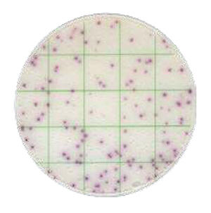 Gvs GVS MicroPad product image 3