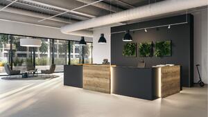 Assmann Concepta - Recepció product image 7