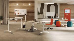 Assmann Pontis Hypa product image 4