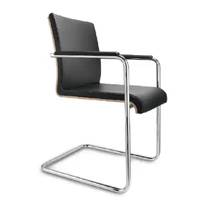 Premium Design DAUPHIN PLENAR2 CONFERENCE product image 1
