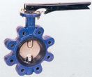 DUYAR LUG típus DN40 - 600-ig product image 1