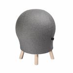 TOPSTAR Sitness 5 Alpine product image