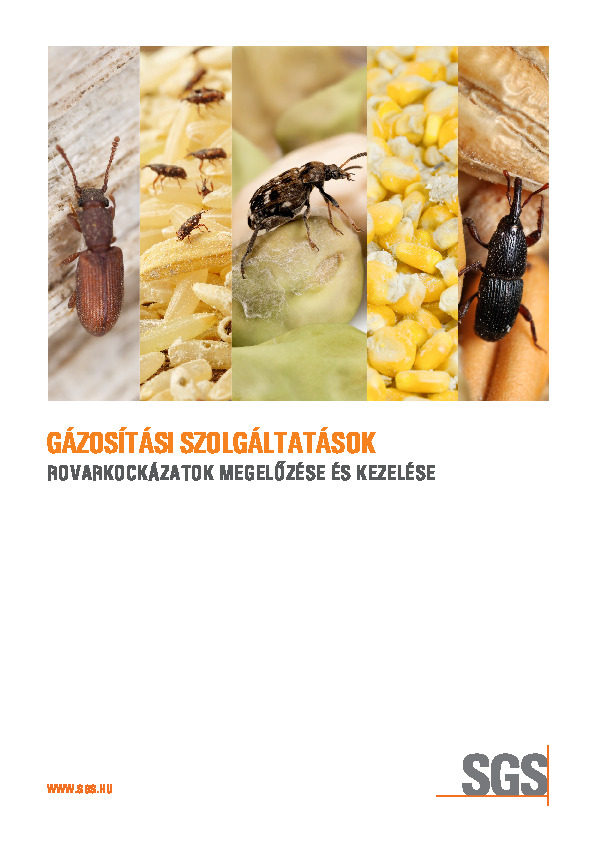 Gázosítási szolgáltatások_1706.pdf