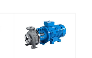 Johnson Pump CombiMagBloc product image 1