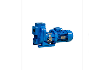 Johnson Pump FreFlow önfelszívó product image 1