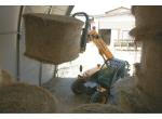 DIECI Mini Agri 25.6 product image 7