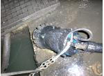 TSURUMI   product image 4