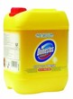 Domestos Prof. Citrus  product image
