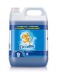 Coccolino Prof.  product image