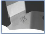 R.U.M. Testing   product image 1