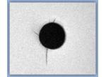 R.U.M. Testing   product image 3