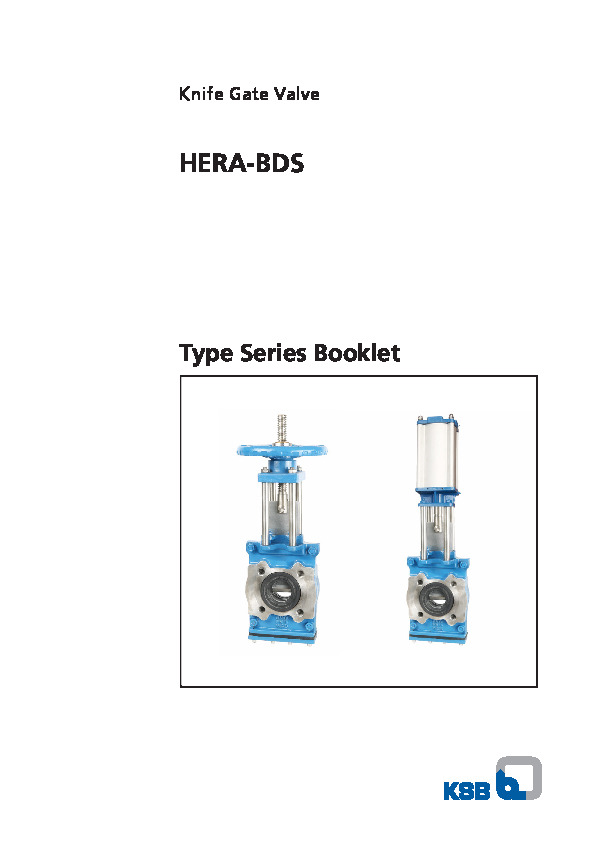 HERA-BDS.PDF