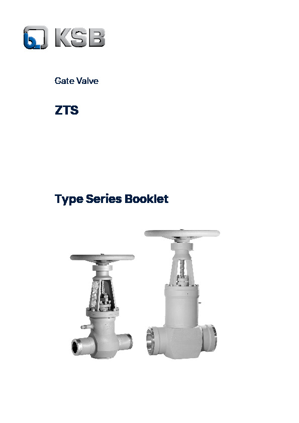 Type series booklet ZTS.PDF