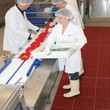 Cleartex.hu NT563 Sanitop Deluxe Piros product image 4