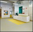 Cleartex Marmoleum Decibel product image 1