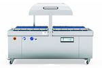 Multivac P 700 product image 1