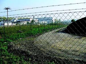 FÖLDVÁR-RUBBER Horganyozott szögesdrót (Zn) product image 2