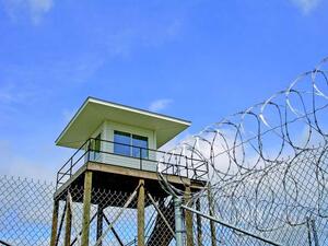 FÖLDVÁR-RUBBER Horganyozott szögesdrót (Zn) product image 3