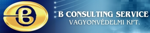B Consulting Kft. logo