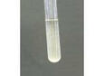 Brenntag   product image