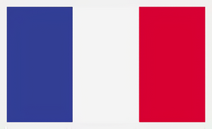 FORDuna Francia nyelv fordítás product image 1