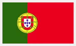 FORDuna Portugál nyelv fordítás product image 1