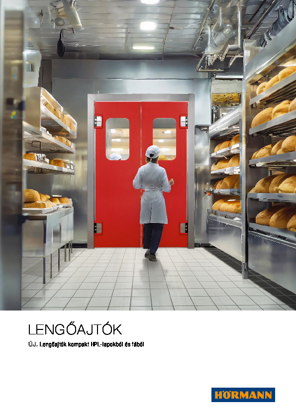 Leng_ajt_k.pdf