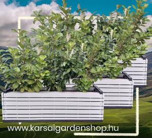 Karsai Magaságyás Műanyagburkolattal product image 2