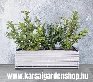 Karsai Magaságyás Műanyagburkolattal product image 3