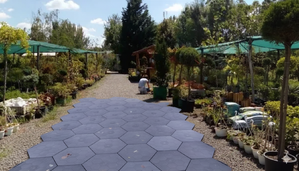 Karsai Taposó438 Méhselytrács product image 3