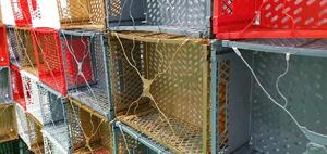 Karsai Összecsukható Rekesz product image 9