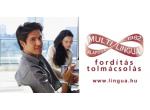  MULTI-LINGUA Kft product image 1